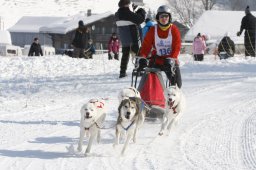Lenk 2012 SM
